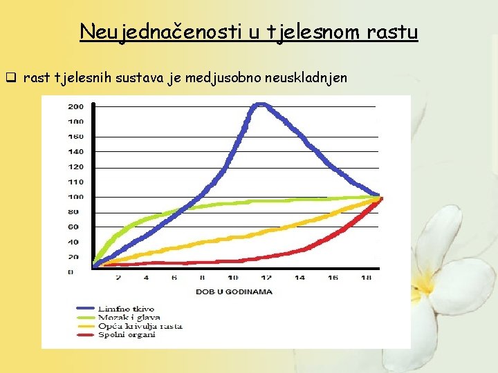 Neujednačenosti u tjelesnom rastu q rast tjelesnih sustava je medjusobno neuskladnjen 