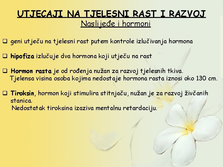 UTJECAJI NA TJELESNI RAST I RAZVOJ Naslijeđe i hormoni q geni utječu na tjelesni