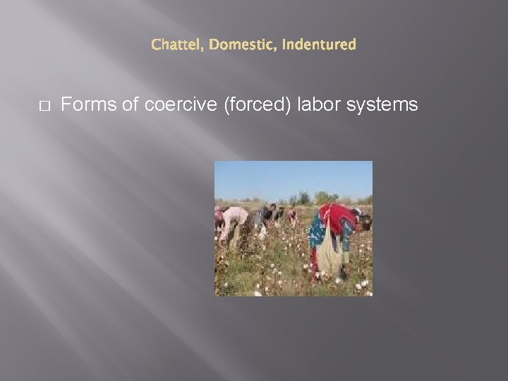 � Forms of coercive (forced) labor systems 