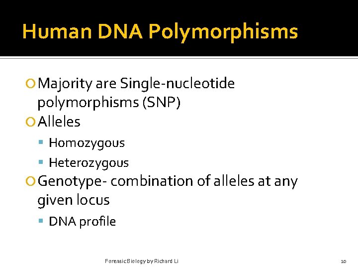 Human DNA Polymorphisms Majority are Single-nucleotide polymorphisms (SNP) Alleles Homozygous Heterozygous Genotype- combination of