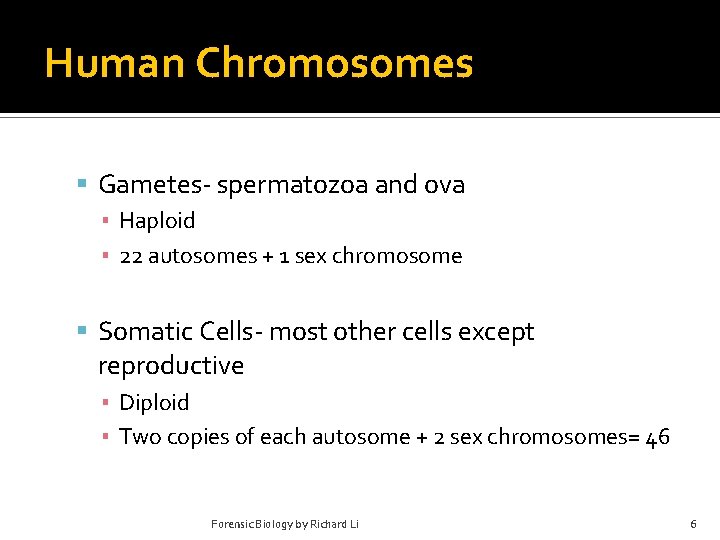 Human Chromosomes Gametes- spermatozoa and ova ▪ Haploid ▪ 22 autosomes + 1 sex