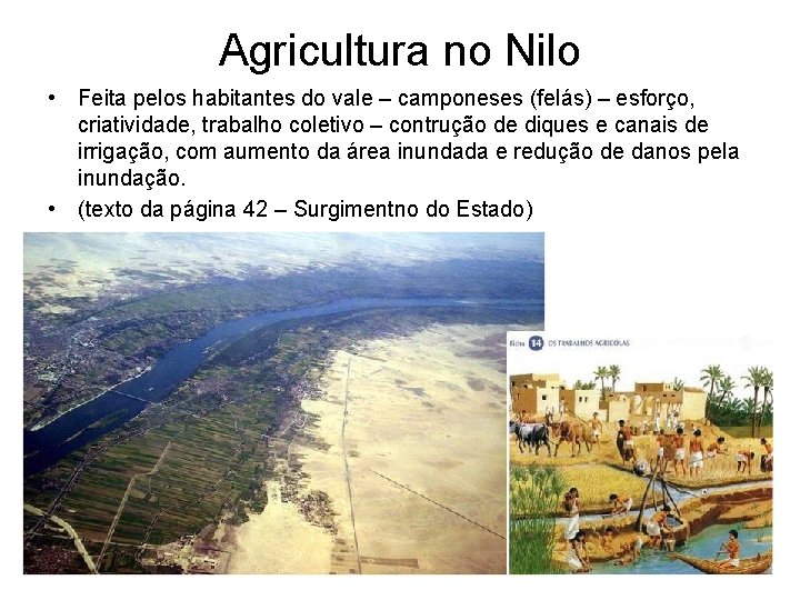 Agricultura no Nilo • Feita pelos habitantes do vale – camponeses (felás) – esforço,