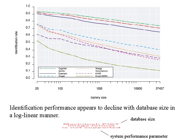 Identification performance appears to decline with database size in a log-linear manner. database size