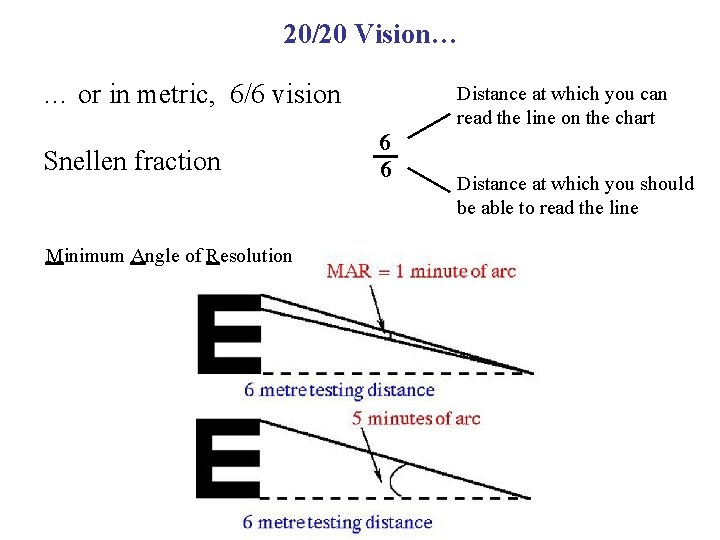 20/20 Vision… … or in metric, 6/6 vision Snellen fraction Minimum Angle of Resolution
