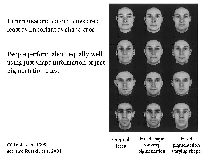 Luminance and colour cues are at least as important as shape cues People perform