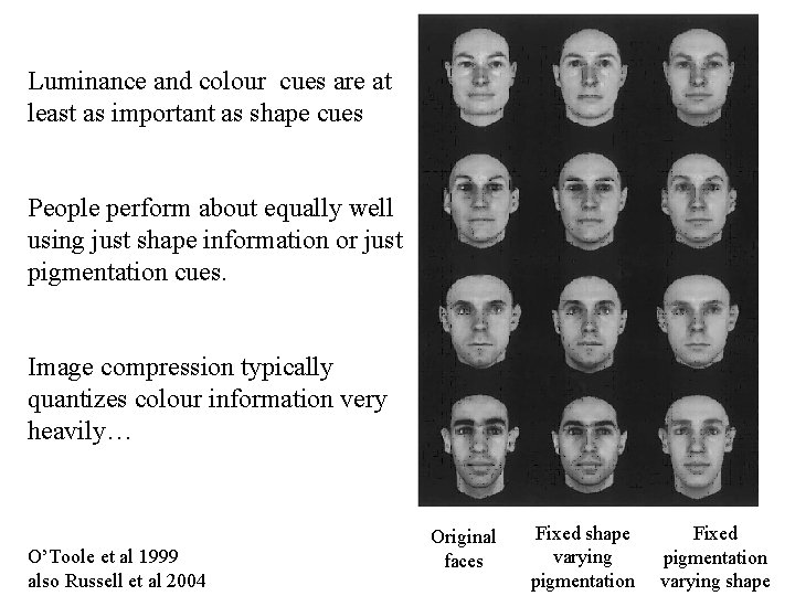 Luminance and colour cues are at least as important as shape cues People perform