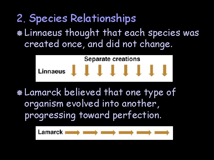 2. Species Relationships ] Linnaeus thought that each species was created once, and did