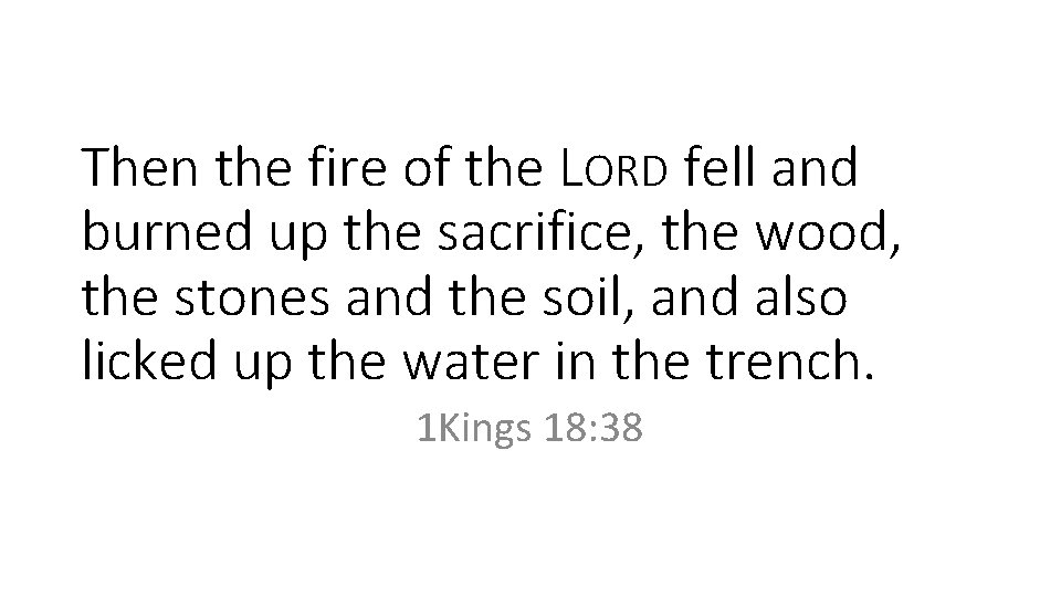 Then the fire of the LORD fell and burned up the sacrifice, the wood,