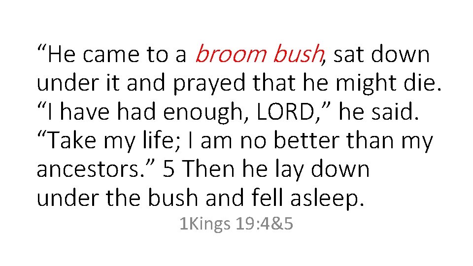 “He came to a broom bush, sat down under it and prayed that he