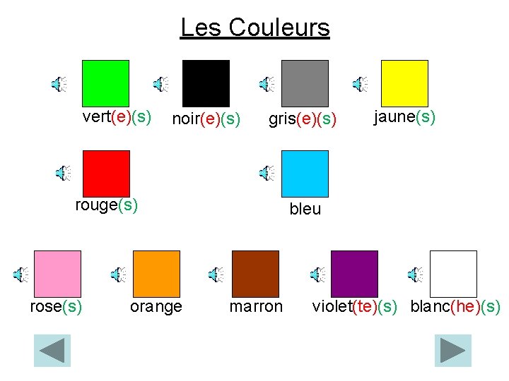 Les Couleurs vert(e)(s) noir(e)(s) gris(e)(s) rouge(s) rose(s) orange jaune(s) bleu marron violet(te)(s) blanc(he)(s) 