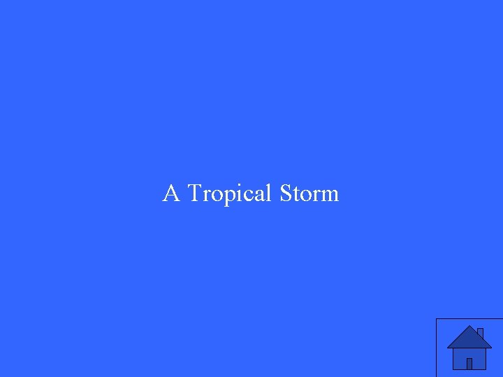 A Tropical Storm 