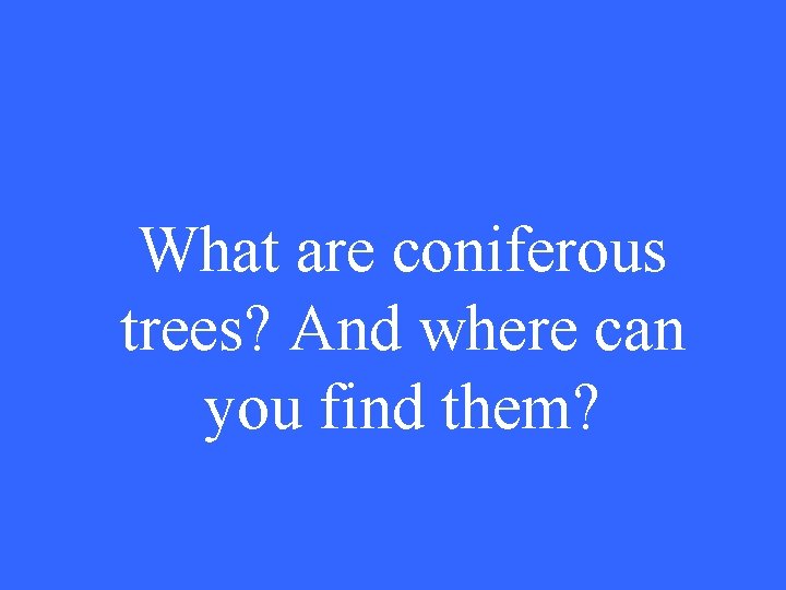 What are coniferous trees? And where can you find them? 