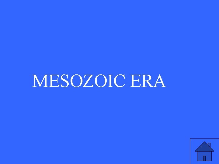 MESOZOIC ERA 