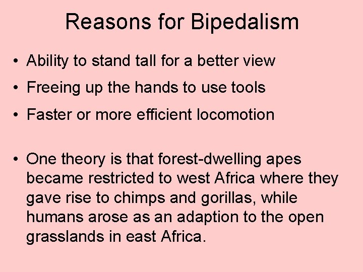 Reasons for Bipedalism • Ability to stand tall for a better view • Freeing