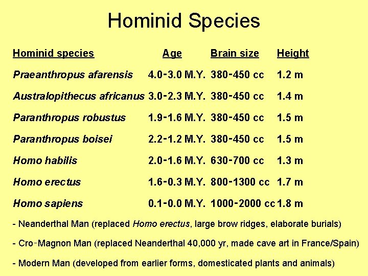 Hominid Species Hominid species Praeanthropus afarensis Age Brain size Height 4. 0‑ 3. 0