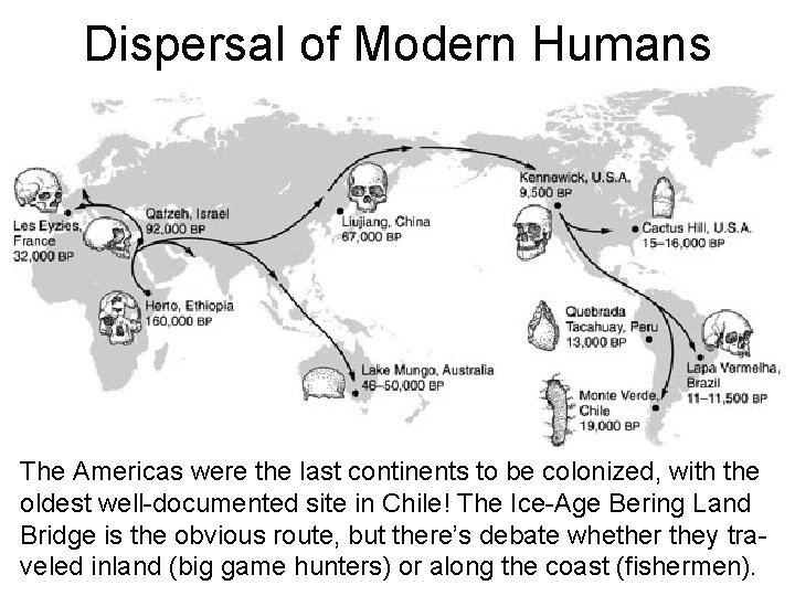 Dispersal of Modern Humans The Americas were the last continents to be colonized, with