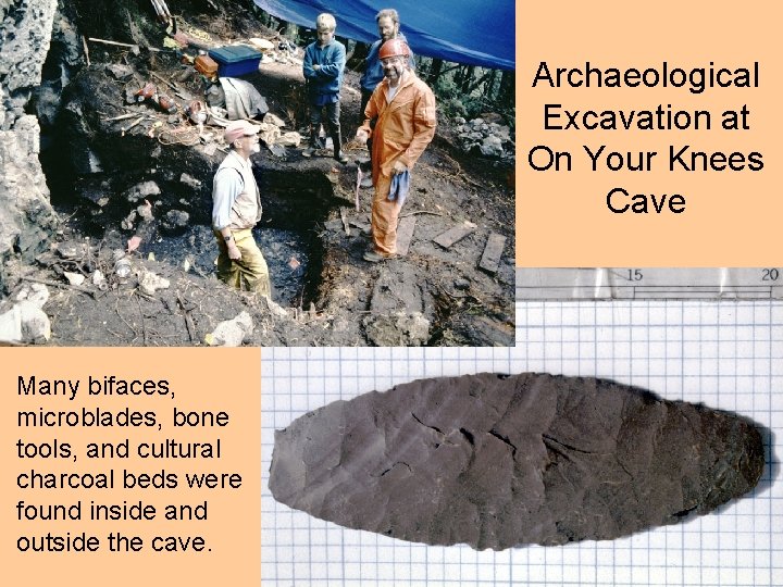 Archaeological Excavation at On Your Knees Cave Many bifaces, microblades, bone tools, and cultural