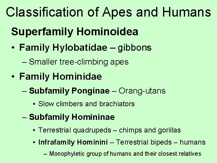 Classification of Apes and Humans Superfamily Hominoidea • Family Hylobatidae – gibbons – Smaller
