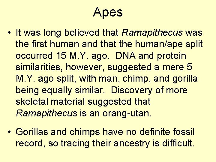Apes • It was long believed that Ramapithecus was the first human and that