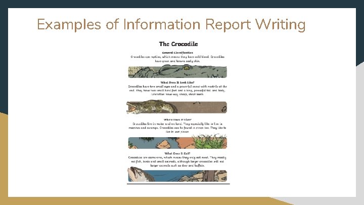 Examples of Information Report Writing 