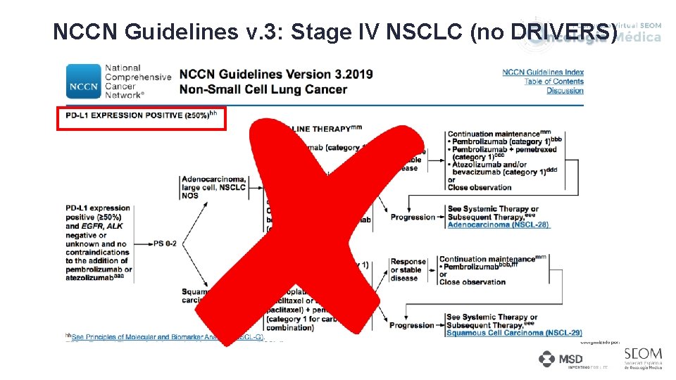 NCCN Guidelines v. 3: Stage IV NSCLC (no DRIVERS) 