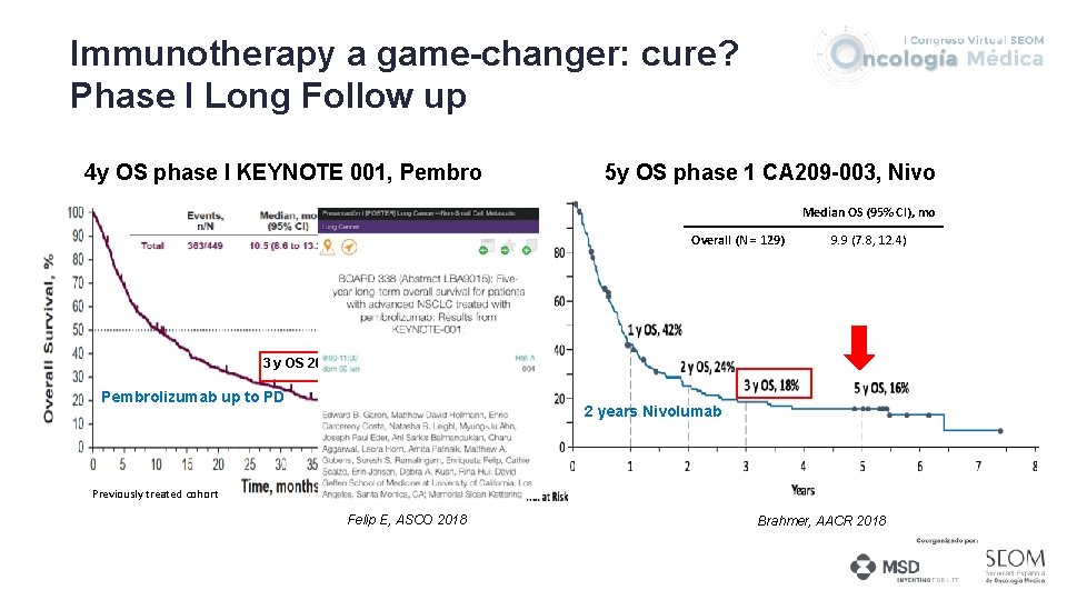 Immunotherapy a game-changer: cure? Phase I Long Follow up 4 y OS phase I