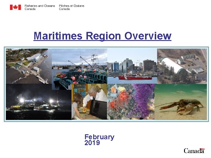 Maritimes Region Overview February 2019 