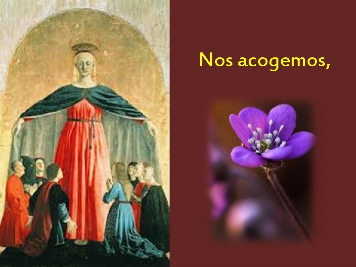 Nos acogemos, 