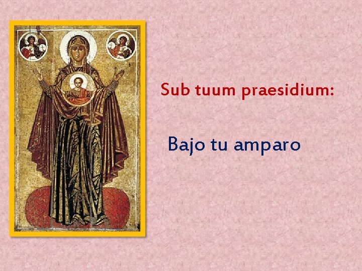 Sub tuum praesidium: Bajo tu amparo 