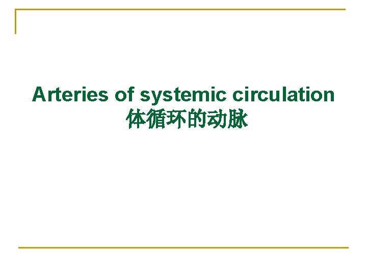 Arteries of systemic circulation 体循环的动脉 