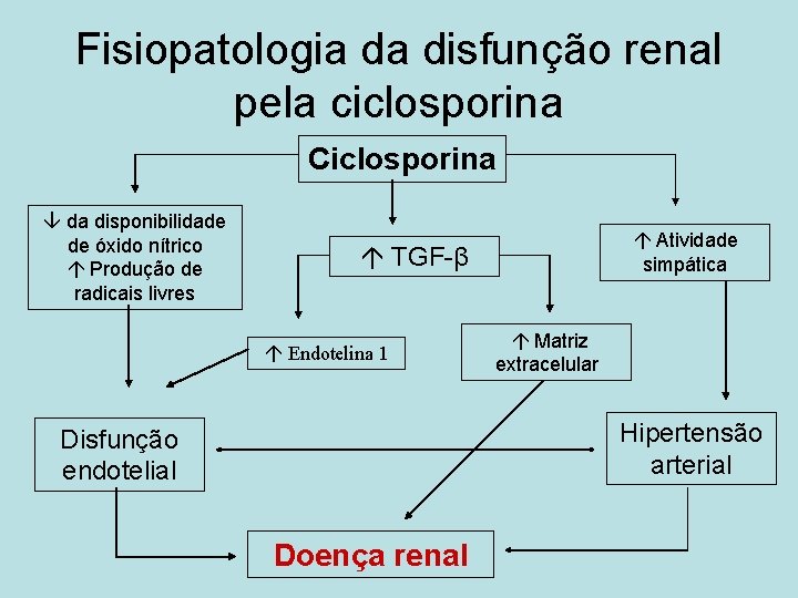 Fisiopatologia da disfunção renal pela ciclosporina Ciclosporina da disponibilidade de óxido nítrico Produção de