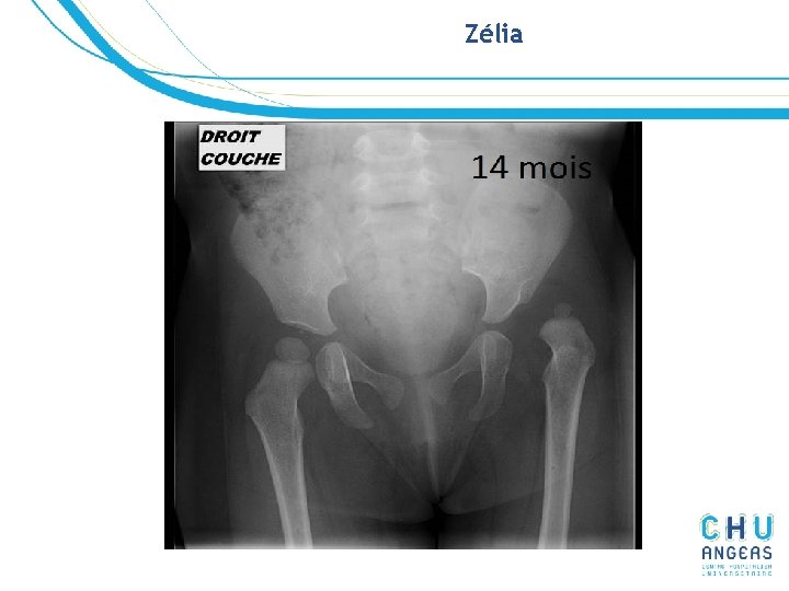 Zélia Zélia