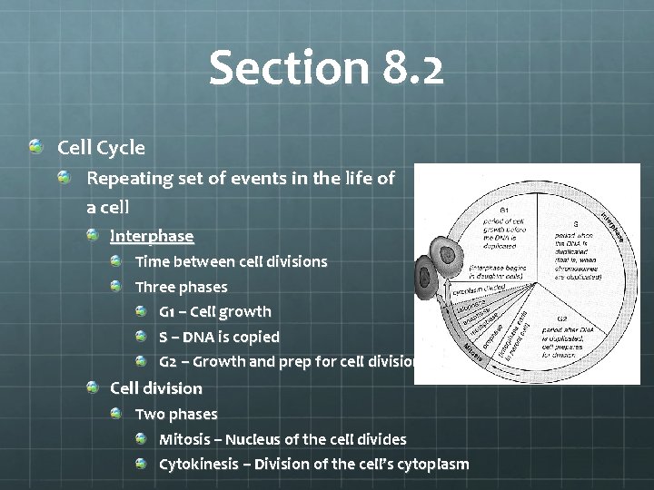 Section 8. 2 Cell Cycle Repeating set of events in the life of a