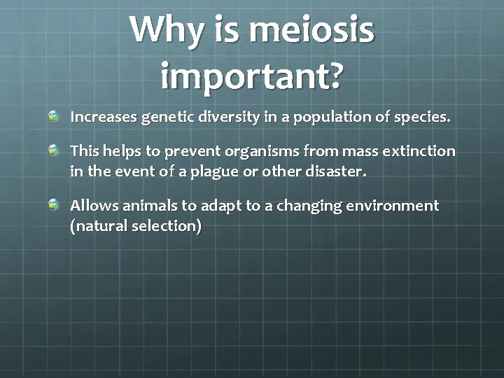 Why is meiosis important? Increases genetic diversity in a population of species. This helps