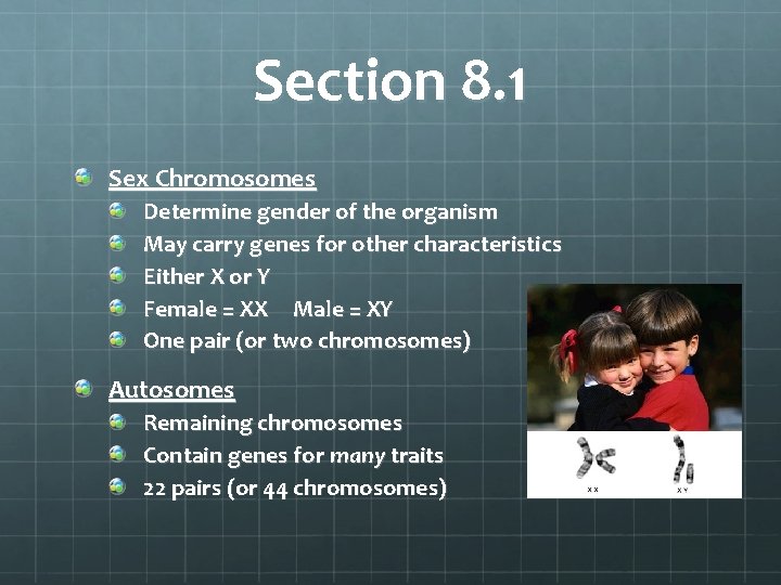 Section 8. 1 Sex Chromosomes Determine gender of the organism May carry genes for