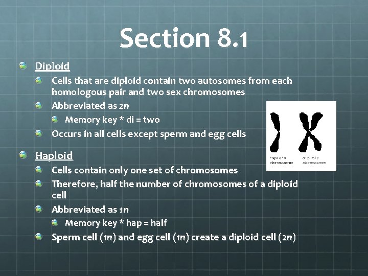 Section 8. 1 Diploid Cells that are diploid contain two autosomes from each homologous