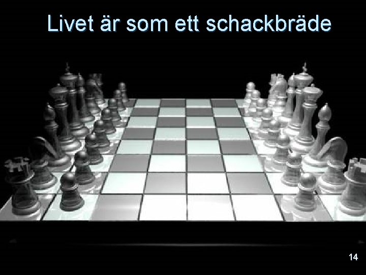 Livet är som ett schackbräde 14 
