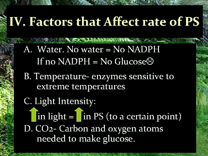 IV. Factors that Affect rate of PS A. Water. No water = No NADPH