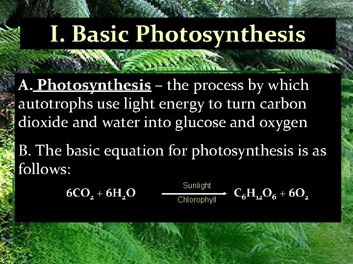 I. Basic Photosynthesis A. Photosynthesis – the process by which autotrophs use light energy