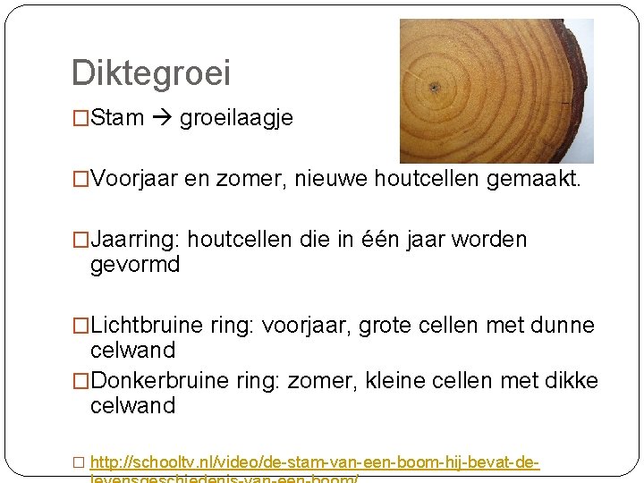 5 2 Planten Groeien 2 HV Plant en