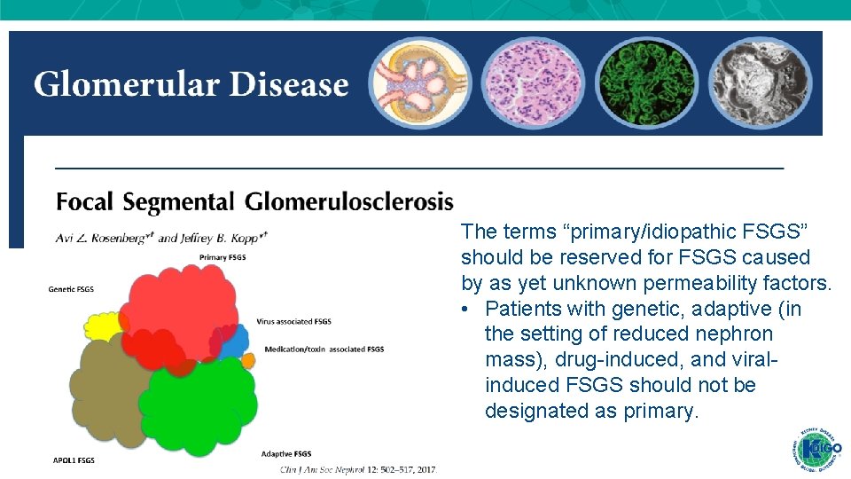 The terms “primary/idiopathic FSGS” should be reserved for FSGS caused by as yet unknown The terms “primary/idiopathic FSGS” should be reserved for FSGS caused by as yet unknown
