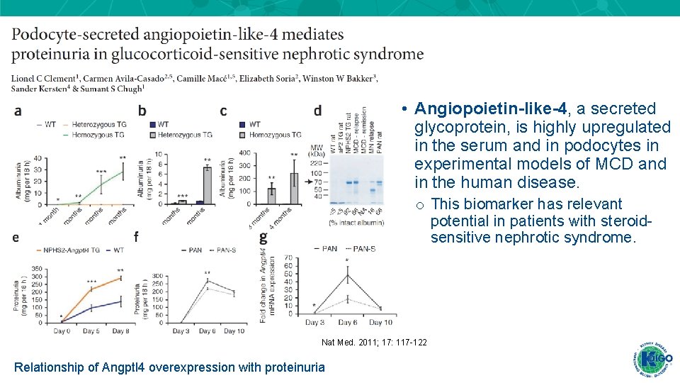 • Angiopoietin-like-4, a secreted glycoprotein, is highly upregulated in the serum and in • Angiopoietin-like-4, a secreted glycoprotein, is highly upregulated in the serum and in