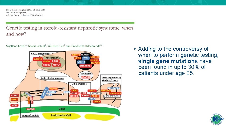 • Adding to the controversy of when to perform genetic testing, single gene • Adding to the controversy of when to perform genetic testing, single gene