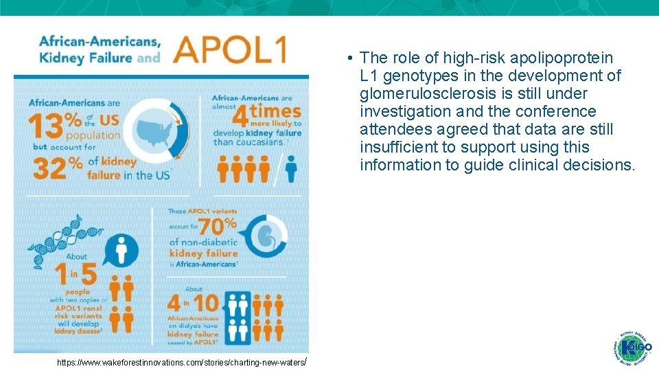 • The role of high-risk apolipoprotein L 1 genotypes in the development of • The role of high-risk apolipoprotein L 1 genotypes in the development of