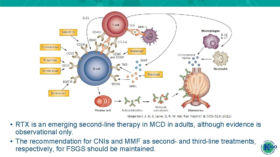 • RTX is an emerging second-line therapy in MCD in adults, although evidence • RTX is an emerging second-line therapy in MCD in adults, although evidence