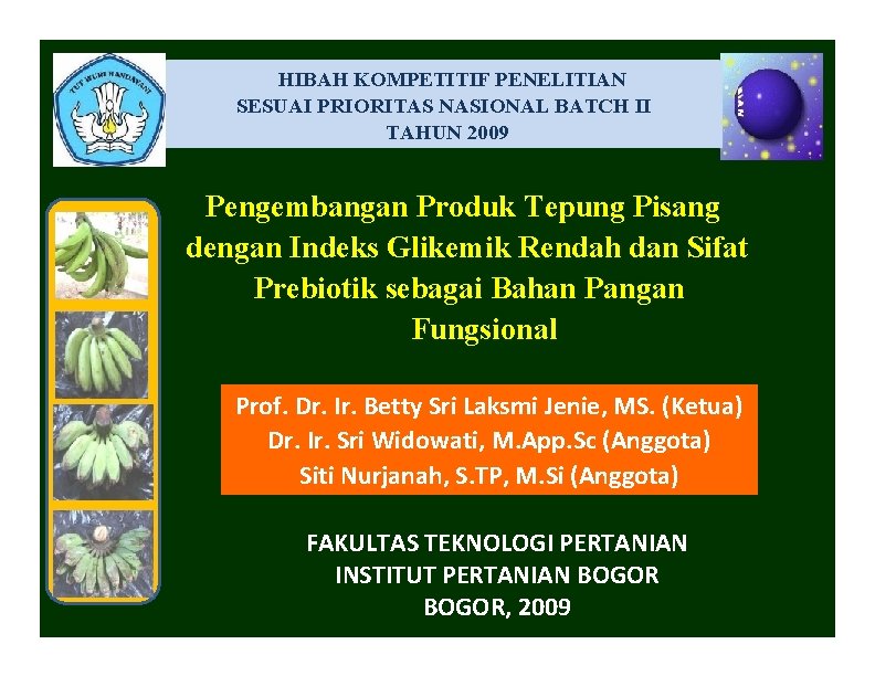HIBAH KOMPETITIF PENELITIAN SESUAI PRIORITAS NASIONAL BATCH II TAHUN 2009 Pengembangan Produk Tepung Pisang