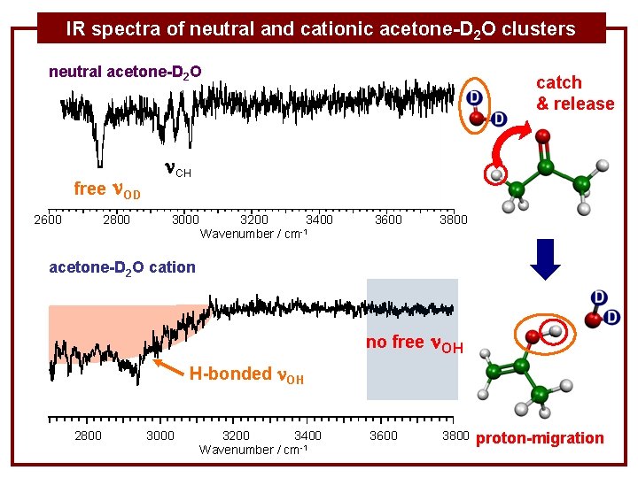 IR spectra of neutral and cationic acetone-D 2 O clusters neutral acetone-D 2 O