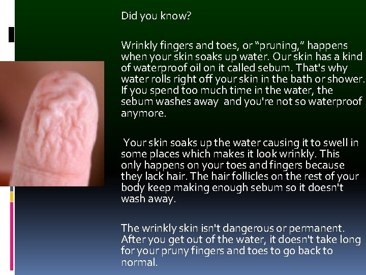 Did you know? Wrinkly fingers and toes, or “pruning, ” happens when your skin