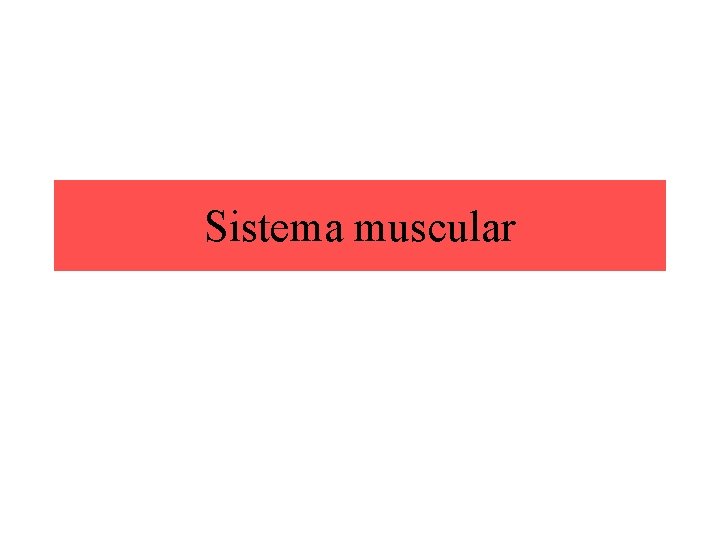 Sistema muscular 