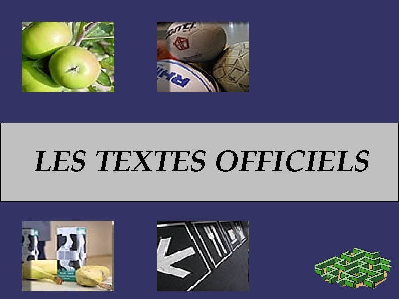 LES TEXTES OFFICIELS 